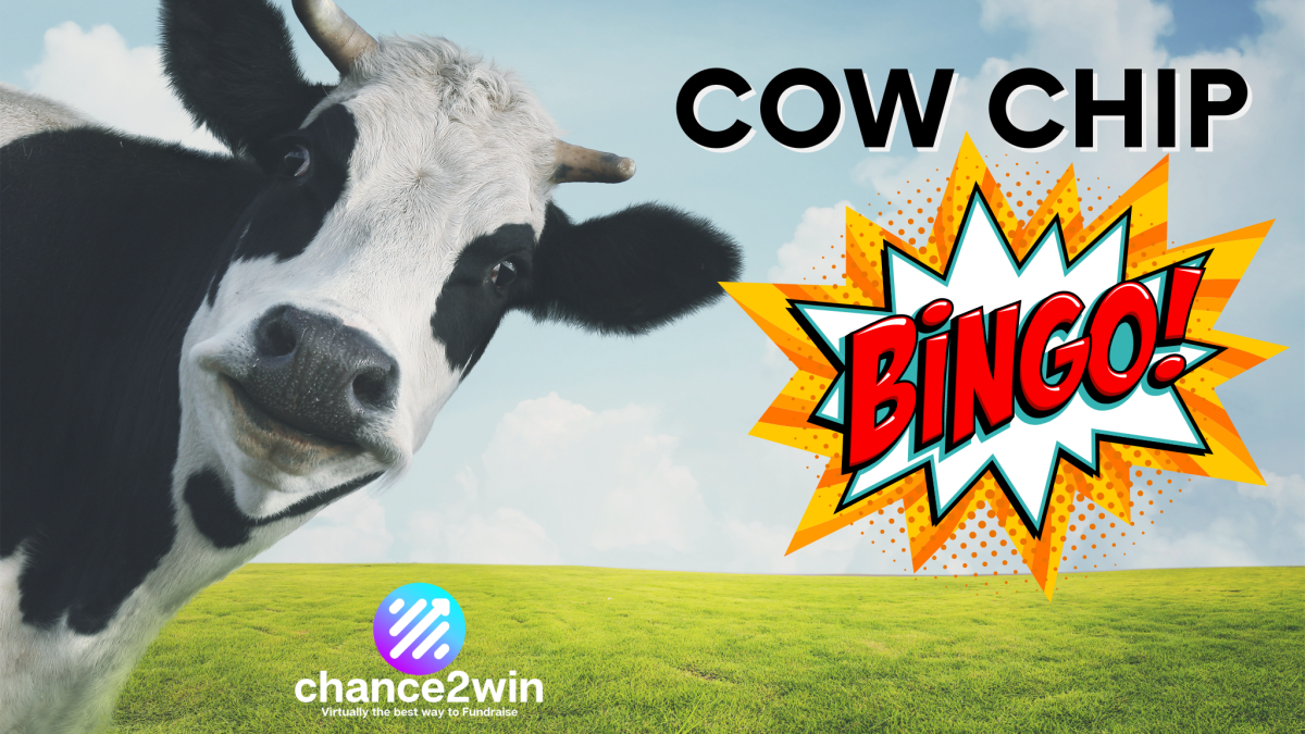Cow Chip Bingo Fundraiser