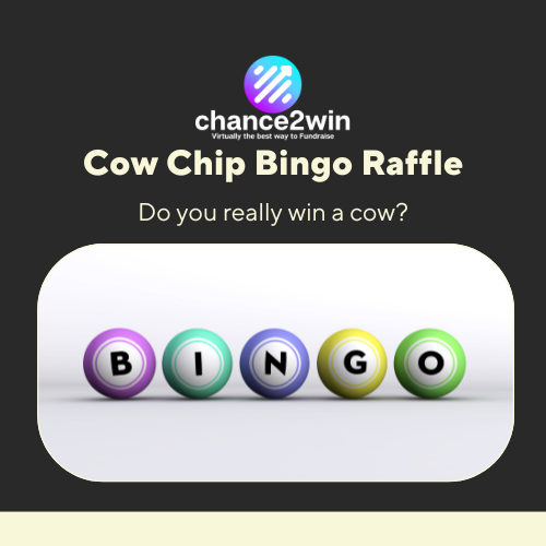 cow chip bingo fundraising idea