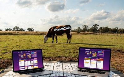 Unique Fundraising Ideas: Discover the Hilarious Appeal of a Cow Chip Raffle